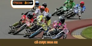 Cá cược đua xe
